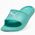 Σαγιονάρες Puma Divecat v2 Lite Cat 386713-18