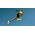 Joma Fenix Ανδρικά 2501 RFENIS2501 Μαύρα 41
