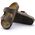Birkenstock Arizona BFBC 151183 Καφέ 41
