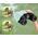 Lornetka MINI K&F CONCEPT ZOOM 7x 30mm 7x30 IP65 BaK4 + Etui / KF33.094