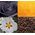 Tesori d ́Oriente Perfumy do prania TESORI D'ORIENTE Byzantium 250 ml