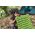 Φουσκωτό στρώμα BESTWAY Wanderlite Regular, πράσινο, 188 x 58.5 x 6.5 cm