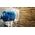 Bosch Bosch Expert hole saw 'ToughMaterial', O 40mm