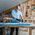 Bosch Bosch Expert C470 sanding sheet, 150mm, K60 multi-hole (50 pieces, for eccentric sanders)