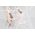 Suszarka na pranie Brabantia HangOn with Rod 403507
