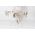 Suszarka na pranie Brabantia HangOn with Rod 403507