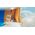 Κεφαλές Philips Sonicare Premium All in One 4τμχ.