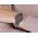 Casio Zegarek Dziecięcy Casio LA-20WH-8ADF ( 30 mm)