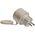 Inteligentne gniazdko zewnętrzne Shelly Plug S MTR Gen3 IP44 12A