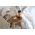BRABANTIA Κούπα ταξιδιού για τσάι Make &amp| Take 0.36 L σκούρο γκρι 228766