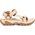 Γυναικεία Terra Fi 5 Universal, CCN, 40 (us 9)| uk 7
