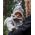 Lodger Folklore Fleece bērnu šalle  Drizzle MFF 629