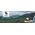 Kijki trekkingowe Qunature nordic walking aluminiowe 110 - 130 cm - fioletowe