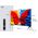 TV 32S5K TCL