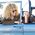 LifeStraw LifeStraw Go 2.0 Czerwona butelka filtrująca 0,65L Merlot Me Away