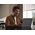 SHOKZ OPENMEET Bluetooth Knochenschall Headset USB C Dongle