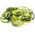 Kuchenprofi Juliena Spiral Cutter