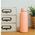Quokka Solid - Butelka termiczna ze stali nierdzewnej 510 ml (Pastel Peach)