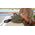 Torba Wandrd D1 Fanny Pack - zielona