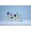 BUTELKA NA WODĘ VITA 900 ML VIVID BLUE 107733010100