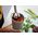 DZBANEK DO MIKSOWANIA Z POKRYWKĄ CHEF IT 1000 ML NORDIC SAGE 102312594700