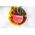 Shelly Relais "1PM Gen3 4er Pack" max 16A 1 Kanal WLAN BT