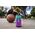Cellularline Music & Sound Bluetooth Vertical Speaker Fluid