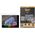 PanzerGlass Microsoft Surface Pro X/Pro 8/Pro 9/Pro 10/11th Ed