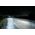Philips Led H8/H11/H16 Fog U91 HL