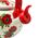 CZAJNIK EMALIOWANY 2.2L BRUNBESTE POPPY BB-2498