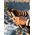 Butelka termiczna MiiR szeroki wlew 590ml Canyon