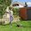 AL-KO 114033, Push lawn mower, 150 m², 22 cm, 3 cm, 5 cm, Brushless - SOLO