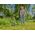 Gardena PowerTrim 30 18V bez akumualtora 14703-55