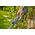 Gardena PowerTrim 30 18V bez akumualtora 14703-55