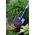 Shovel BIG, 125 cm, pointed, wooden handle