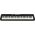Casio Keyboard z serii Casiotone CT-S200 BK