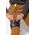 Spodnie Robocze Carhartt RipStop Cargo Brown