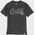 Koszulka Carhartt Light Script Graphic Carbon
