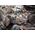 Bosch Bosch Expert reciprocating saw blade 'Tough Wood' S 1142 KHM, 10 pieces (length 225mm)