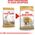 Royal Canin Beagle Adult karma sucha dla psów dorosłych rasy beagle 3 kg