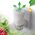 Air Wick Air Wick Electrical Deszczowa Świeżość Lasów Amazonii Odświeżacz Powietrza Wkład 19ML