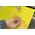 Trixie TRIXIE 34989, Baking mat, Silicone, Yellow, -40 - 230 °C, 280 mm, 380 mm