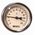 Θερμόμετρο WATTS T80/50, 1/2", 80 mm, 120degC
