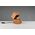 Φωτιστικό τραπεζιού TRIO TREASURE 1xE14 max 2W 225lm(περιλαμβάνεται) χρώμα ξύλου 16x12x12cm