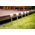 FLOOR LAMP SOLAR TH031A-L 1XLED RGB 1XAA