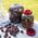 MULTIFUNCT. 8L PLASTIC JAR FOR FERMEN.