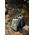 Plecak turystyczny Naturehike Plecak far mountain 25l cnh22bb003-black NATUREHIKE