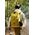 Plecak turystyczny Naturehike Plecak far mountain 25l cnh22bb003-black NATUREHIKE