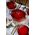 le creuset Garnek żeliwny Le Creuset 31 cm 6,3 l brytfanna