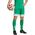 Spodenki męskie adidas Squadra 25 zielone JN7482 S
